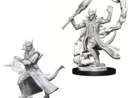 D&D Nolzurs Marvelous Unpainted Miniatures: Tiefling Male Sorcerer For Cheap