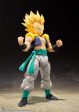 S.H.Figuarts Super Saiyan Gotenks Online now