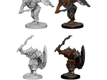 D&D Nolzurs Marvelous Miniatures: Dragonborn Male Fighter For Cheap