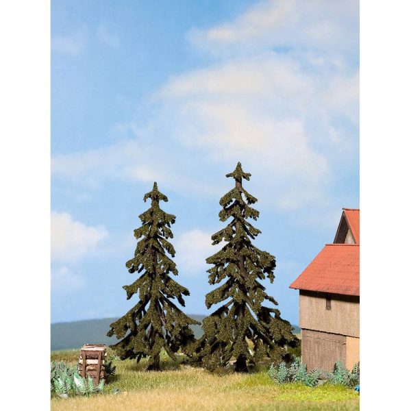 Spruce (2) on Sale