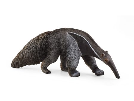 Anteater For Sale