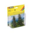 Spruce (2) on Sale