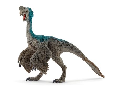 Oviraptor on Sale