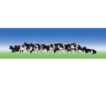 Cows Black Spotted Supply